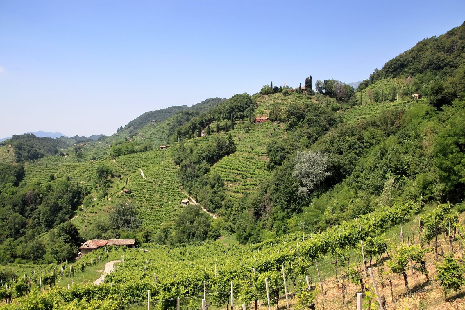 Veneto: viinitarhoja, Gardajärveltä Venetsiaan
